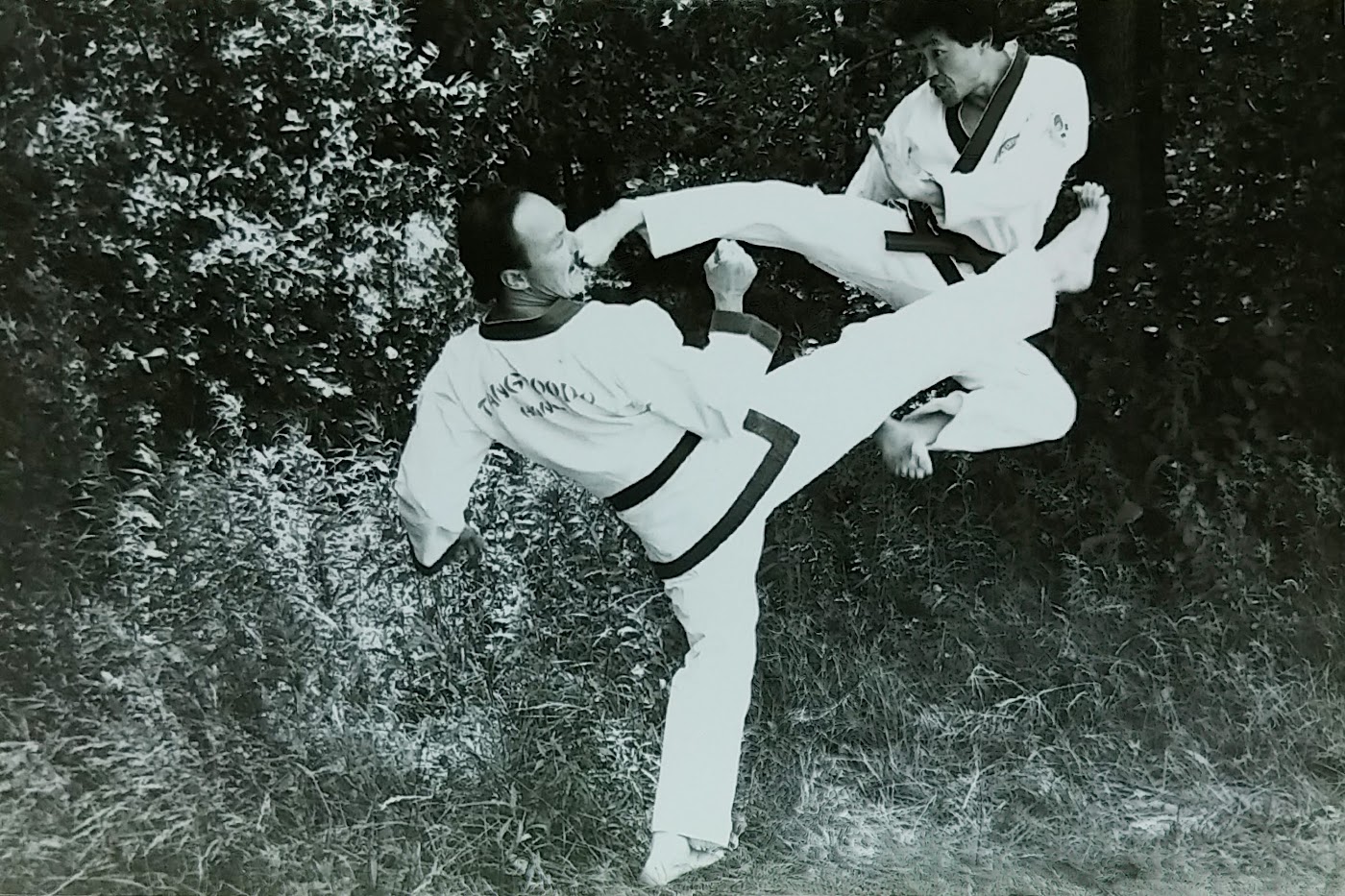 Grand Master In Kee Hong